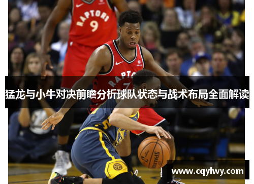 猛龙与小牛对决前瞻分析球队状态与战术布局全面解读