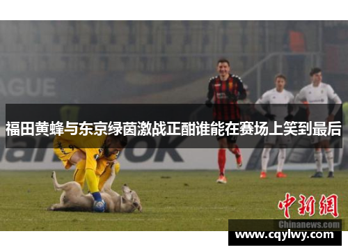 福田黄蜂与东京绿茵激战正酣谁能在赛场上笑到最后