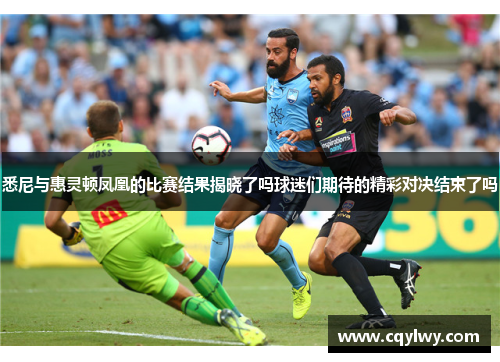 悉尼与惠灵顿凤凰的比赛结果揭晓了吗球迷们期待的精彩对决结束了吗