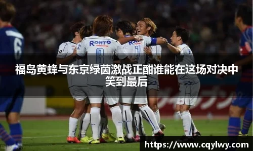 熊猫体育福岛黄蜂与东京绿茵激战正酣谁能在这场对决中笑到最后